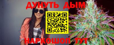 прущие крисы Будённовск