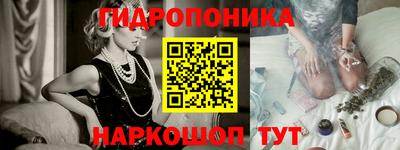 прущие крисы Будённовск