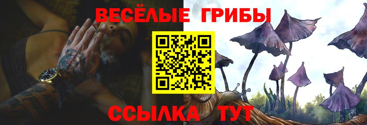 Псилоцибиновые грибы мицелий Нижневартовск